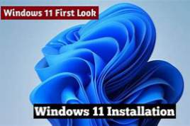Windows 11 build 21996.1 for VMWare Workstation 16.x